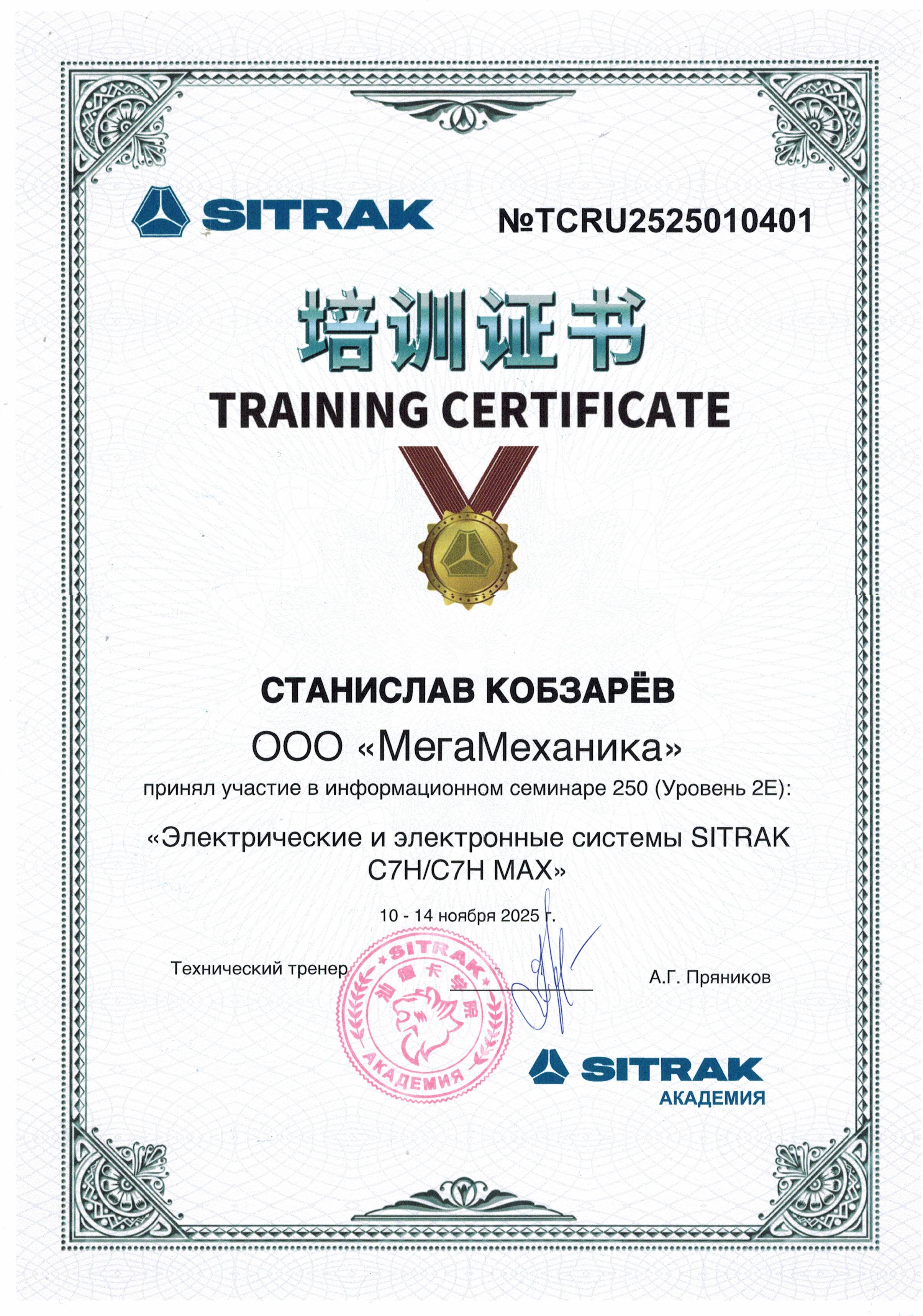 Электросистемы SITRAK